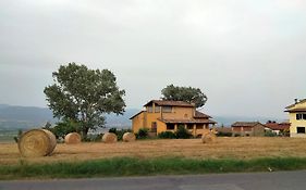 Vigna Del Poggio